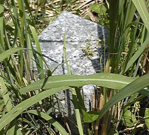 極楽寺 三等三角点 その 4