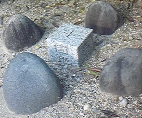 花咲台公園 四等三角点 その 2