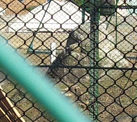 東町 四等三角点
