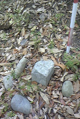 平針 三等三角点 その 2