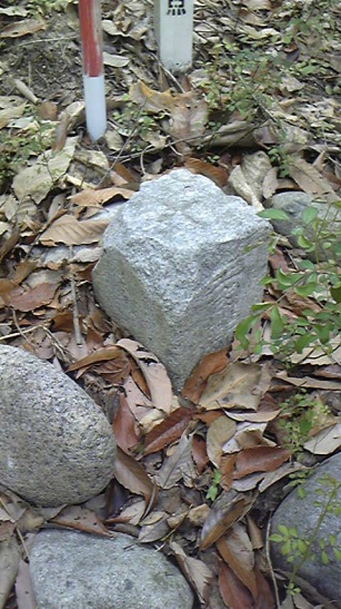 平針 三等三角点 その 3