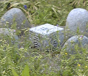 稲島 四等三角点 その 2