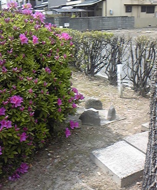 稲沢 三等三角点 その 1