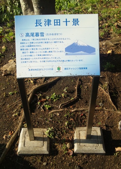 長津田村 一等三角点 その 4