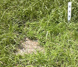 浦山 三等三角点 その 1