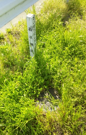花正 四等三角点 その 1