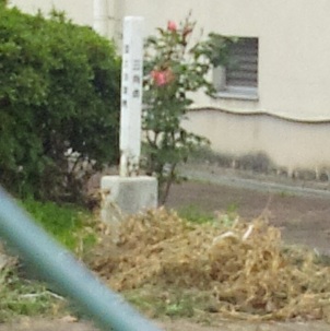 桃栄小学校 四等三角点 その 1
