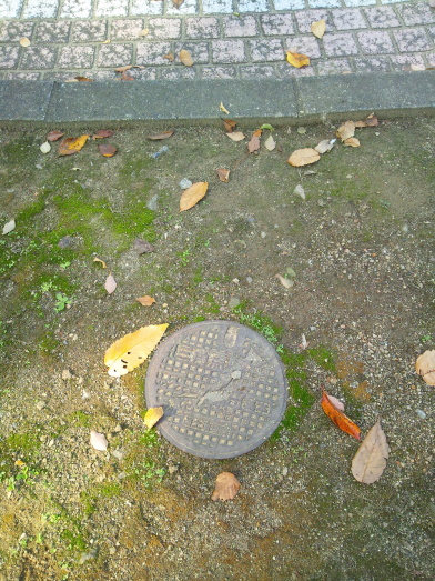 八ツ梅 四等三角点