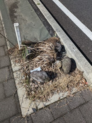 熊本駅西 四等三角点 その 1