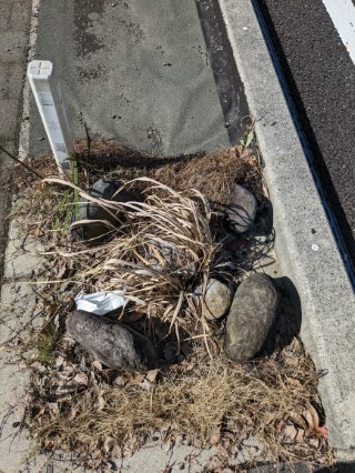熊本駅西 四等三角点 その 3