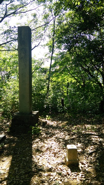 正木山 三等三角点 その 2