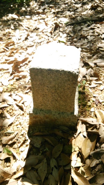 正木山 三等三角点 その 5