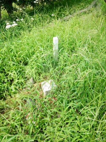 大宮川 三等三角点 その 2