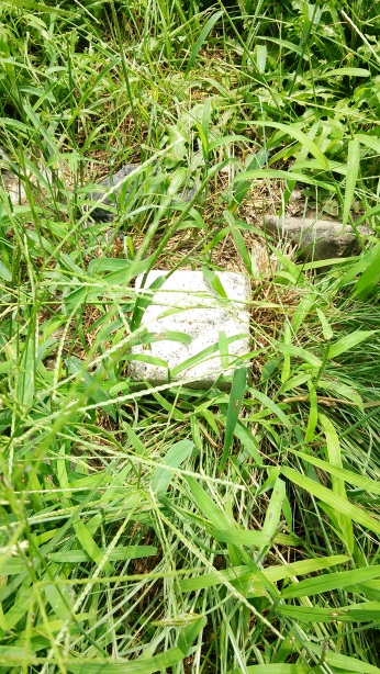 大宮川 三等三角点 その 3