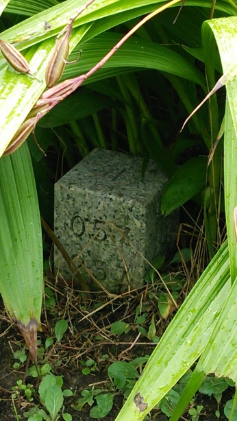 大宮川公園 四等三角点 その 2