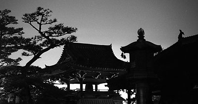 䎛̖i