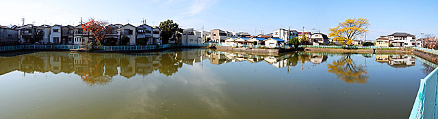 大師池の様子(南東側墓地より)