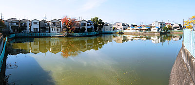 大師池の様子(南側角地より)