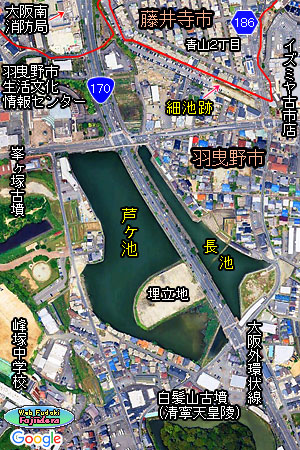 2)芦ヶ池周辺の様子