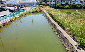 ③長池の中堤の残存部分(北東より)