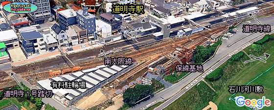 �H �������w�̋^�����Վʐ^(�����)