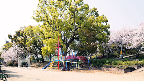 ④ 公園内の広場(南東より)