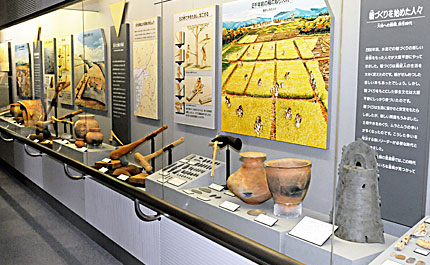 ⑥ 歴史展示コーナー(弥生時代の展示部分)