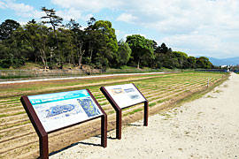 ⑦ 外濠跡地内の様子(北西より)