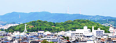 ② 誉田御廟山古墳の遠景(西より)