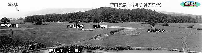 ① 田園風景の向こうに見える誉田御廟山古墳(西より)