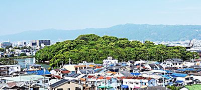 ② 岡ミサンザイ古墳遠景(南西より)