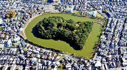 11) 2010(平成22)年の様子(西より)
