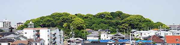 ① 市野山古墳の遠景(東より)