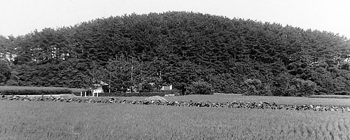 ① 昭和初期の前の山古墳前方部(南西より)