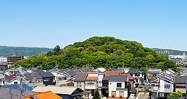 ② 前方部正面の遠景(西より)