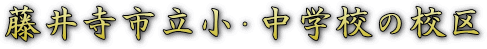 ^CgE䎛sEwZ̍Z