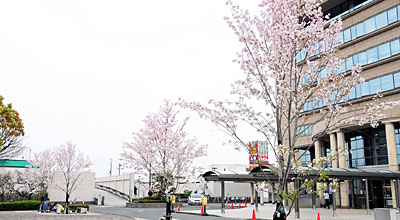 @䎛s̍(k)