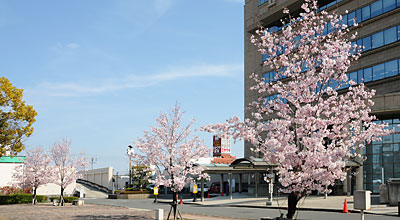 �@���䎛�s�����̍�(�k�����)