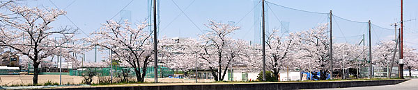 ① 市立津堂市民野球場(東より)