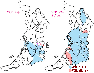 大阪府における被害状況