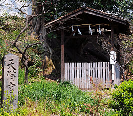 25) 夏水(げすいの)井(南より)