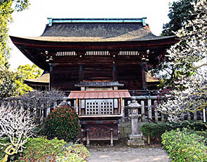 7) 裏から見る本殿(北より)