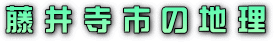 ^CgE䎛s̒n
