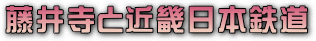 ^CgE䎛sƋߋE{S