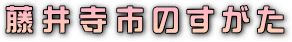 ^CgE䎛ŝ