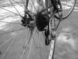 自転車
