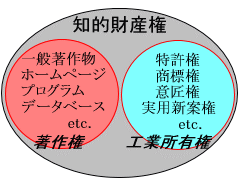 図:知的財産権の分類