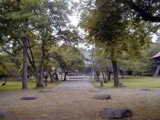 614dlOYFxyL._AC_SY200_QL15_.jpg