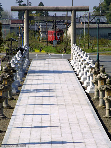 2429a07.jpg