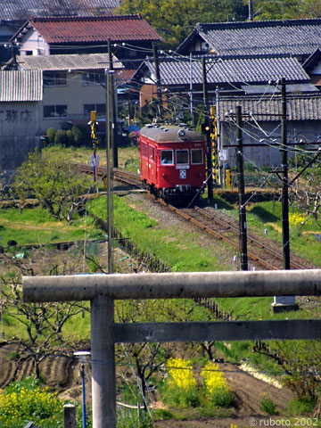 2429a10.jpg